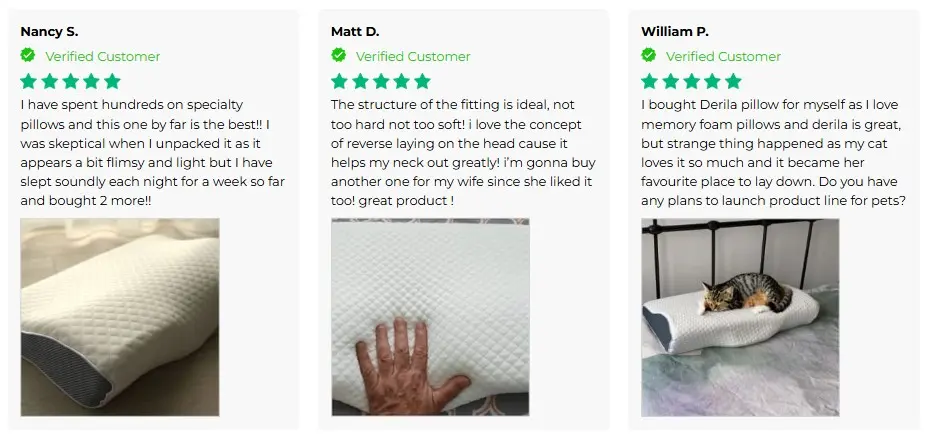 Derila Pillow Users Reviews